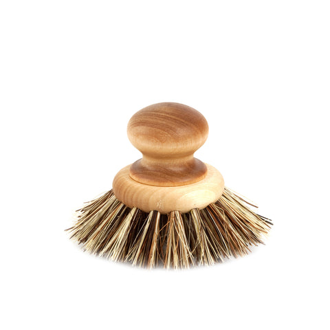 Computer Brush