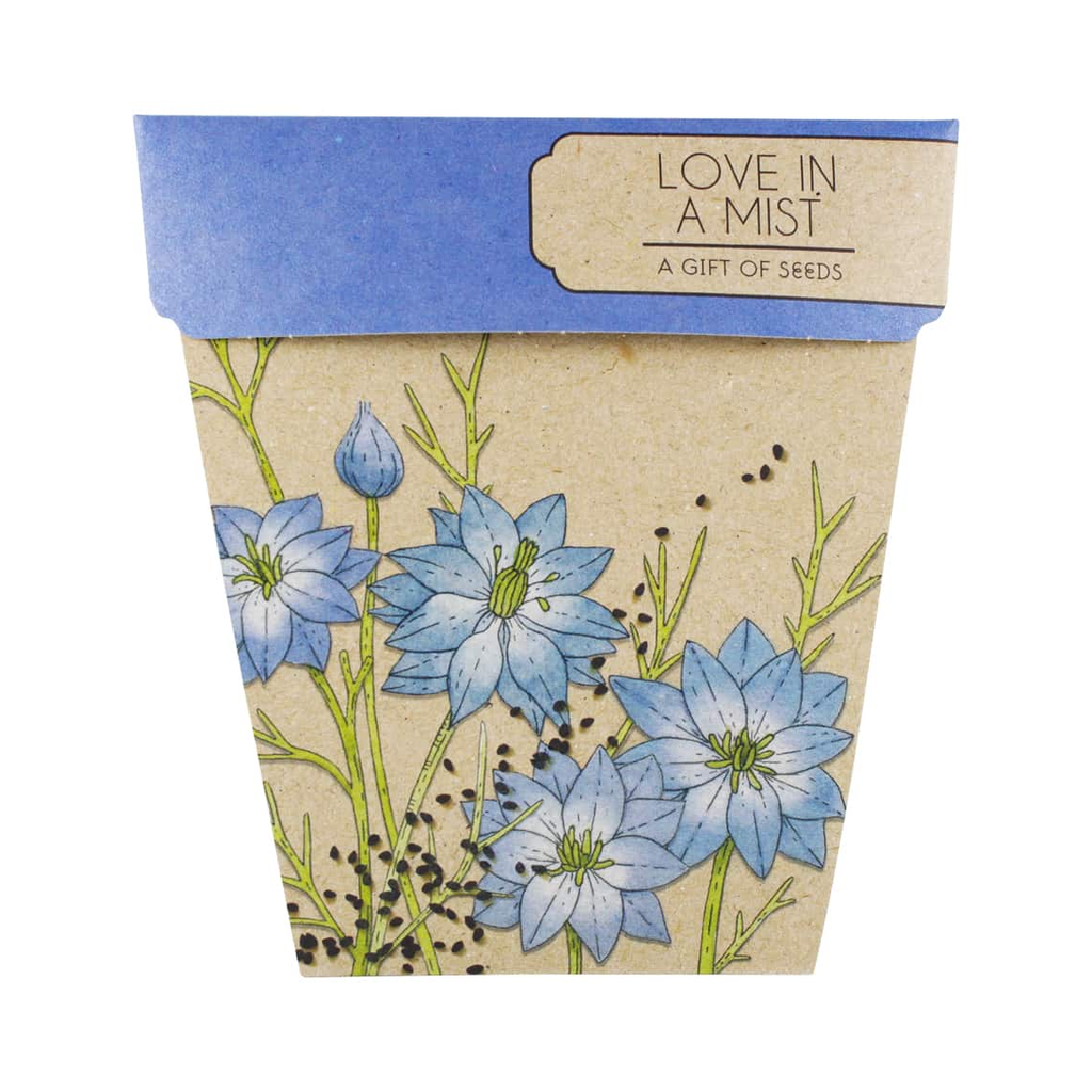 Love in a Mist Gift of Seeds Love in a Mist Gift of Seeds