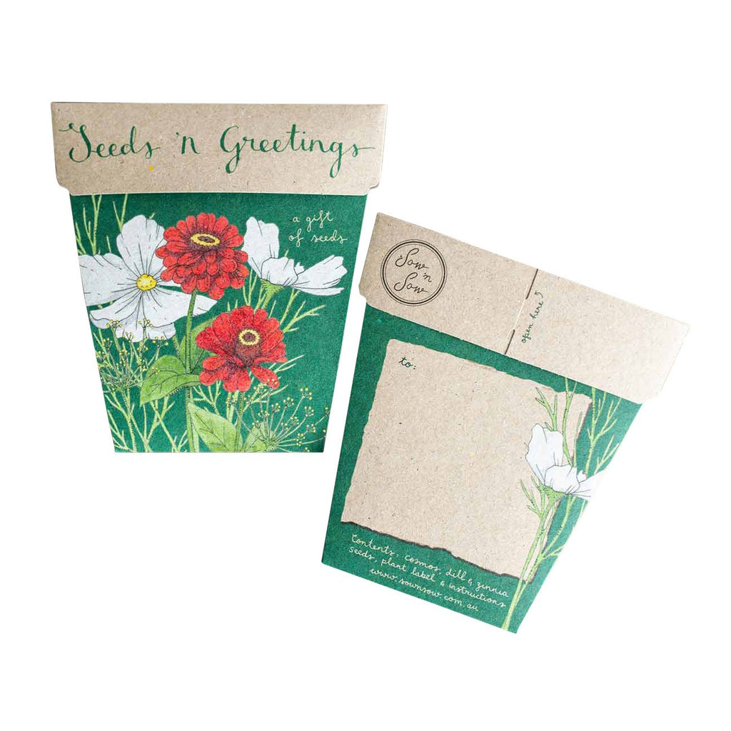 Seeds 'n Greetings Gift of Seeds