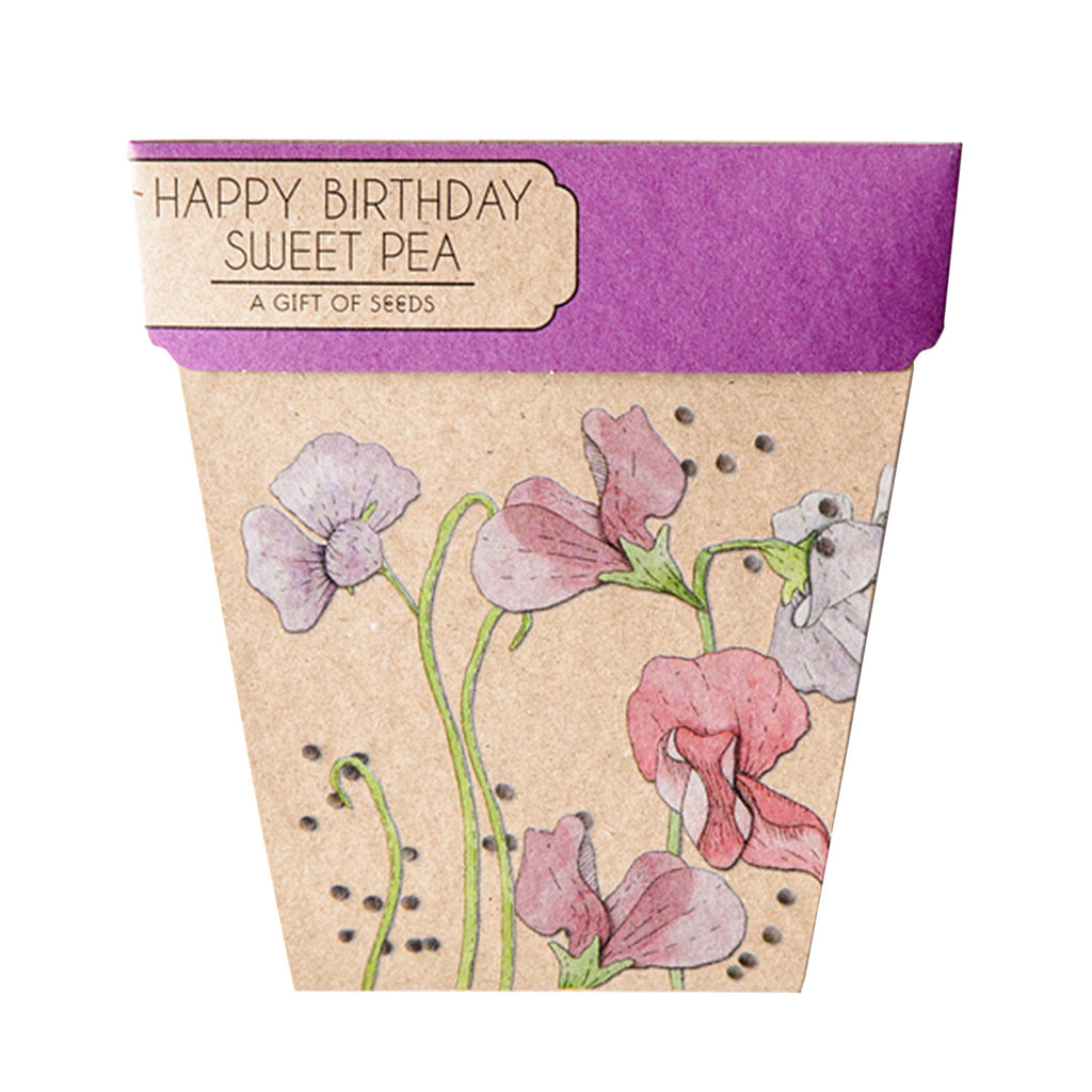 Happy Birthday Sweet Pea Gift of Seeds Happy Birthday Sweet Pea Gift of Seeds
