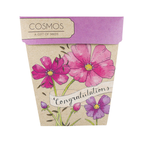 Congratulations Cosmos Gift of Seeds