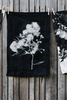 Australian Native Flora Linen Tea Towel