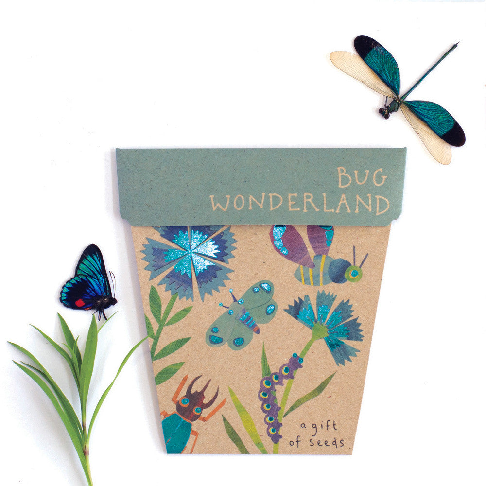 Bug Wonderland Gift of Seeds
